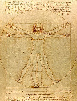 Vitruvian Man